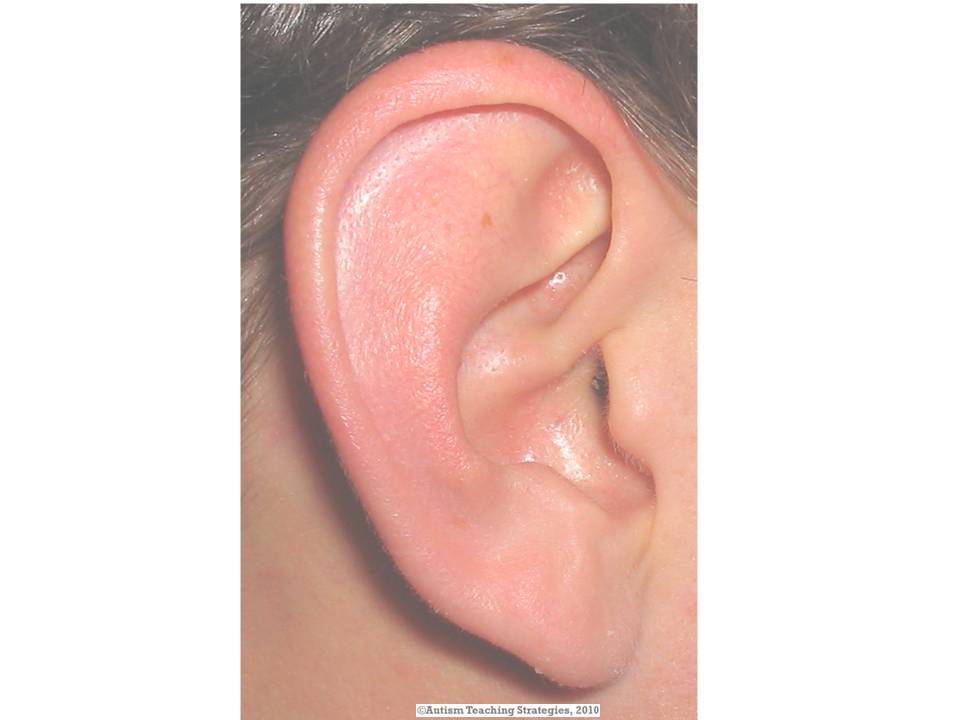 Nonverbal prompt, ear
