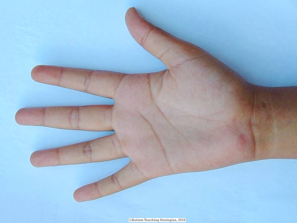 nonverbal prompt, hand